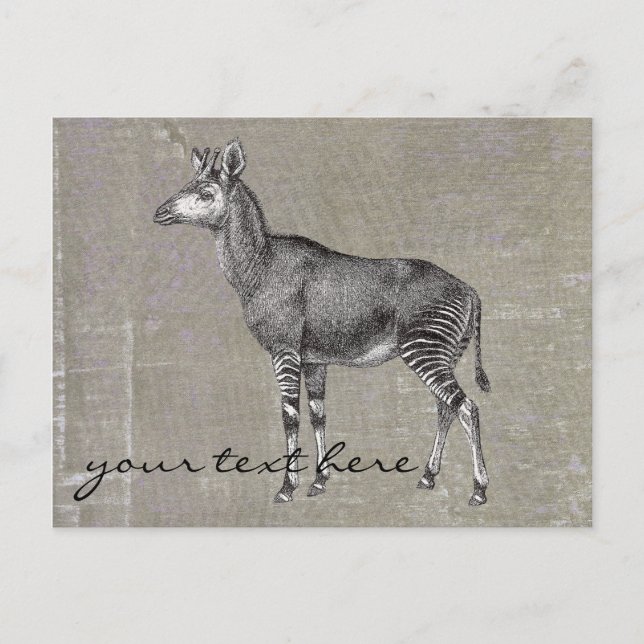 Vintage Okapi Vykort (Framsida)