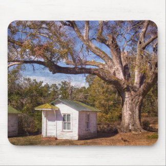 Vintage Old Florida Rustic Motel Cabins Roadside Musmatta