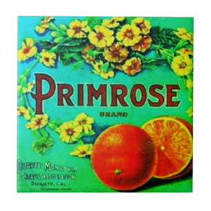 Vintage orangar etikett för fruktreklam kakelplatta