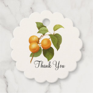 Vintage Orange Apricots Watercolor Tack Gåvor Etiketter
