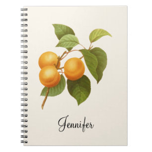 Vintage Orange Apricots Watercolor Teckning Anteckningsbok
