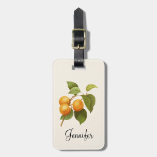 Vintage Orange Apricots Watercolor Teckning Bagagebricka