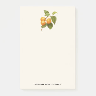 Vintage Orange Apricots Watercolor Teckning Post-it Block