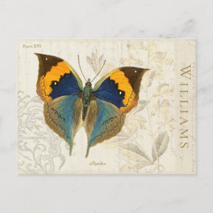 Vintage Orange Blue Butterfly Botanical Postcard Vykort