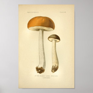 Vintage Orange Brunt svampkonst Skriv ut Fransk Poster