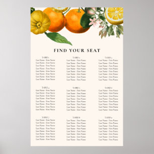 Vintage Orange Citrus Botanical Bröllop Seating Poster