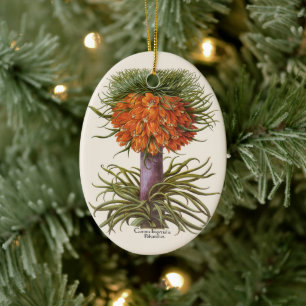 Vintage Orange Fritillaria Blommor Basilius Besler Julgransprydnad Keramik