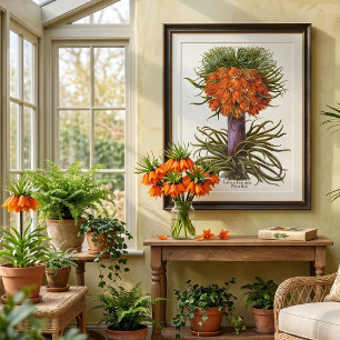 Vintage Orange Fritillaria Blommor Basilius Besler Poster