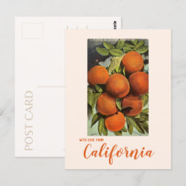 Vintage Orange Postkort från Södra Kalifornien Vykort