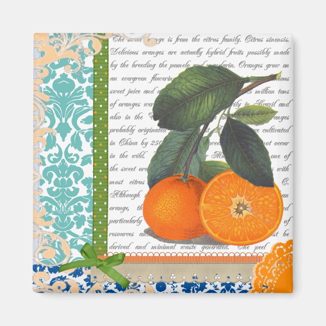 Vintage Oranges Collage Magnet (Framsidan)
