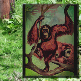 Vintage orangutaner på träd vykort