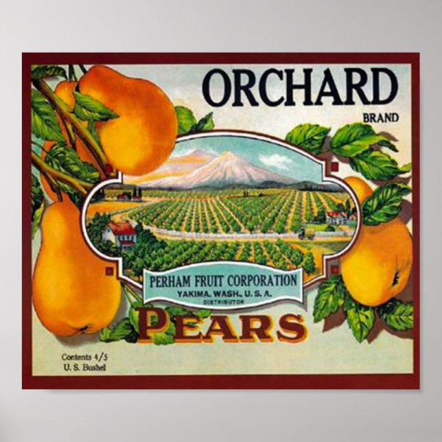 Vintage Orchard Pears Poster (Framsidan)