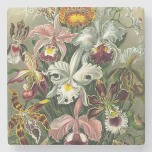 Vintage Orchids - Art Forms of Nature Ernst Haecke Underlägg Sten