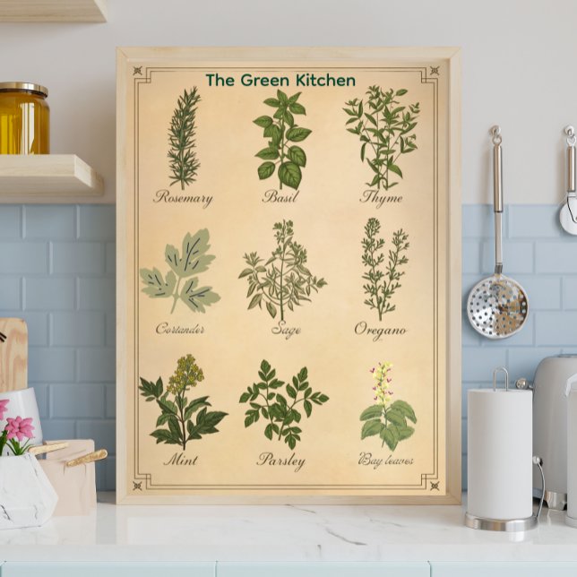 Vintage örtkarta Botanisk köksaffisch Poster (Skapare uppladdad)