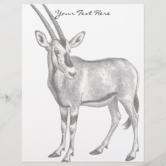 Vintage Oryx Letterhead (Framsida)