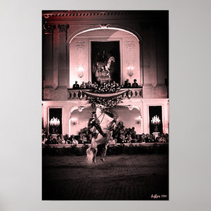 Vintage Österrike Wien Spansk Courbette Poster