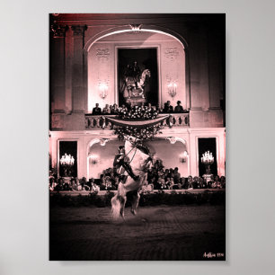Vintage Österrike Wien Spansk Courbette Poster