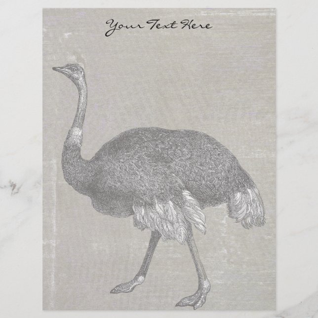 Vintage Ostrich (Framsida)