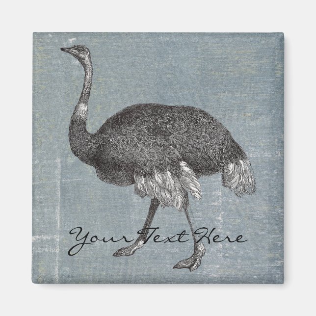 Vintage Ostrich Magnet (Framsidan)