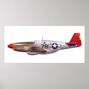 Vintage P-51 Mustang Tuskegee Airmen Världskrig II Poster