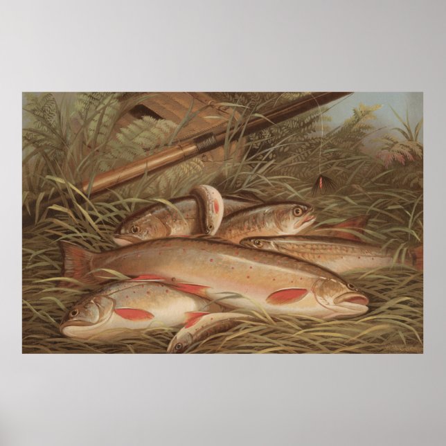 Vintage Painting of Caught Brook Trout (1868) Poster (Framsidan)