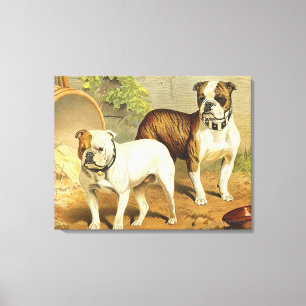 Vintage Painting of English Bulldog Canvastryck