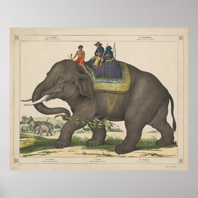 Vintage Painting of Manar Riding an Elephant Poster (Framsidan)