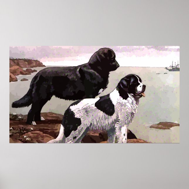 Vintage Paints Newfoundlands Poster (Framsidan)