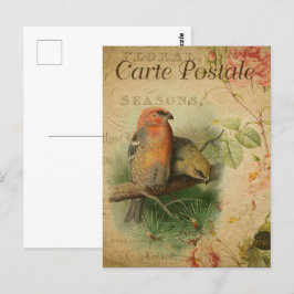 Vintage Pair of Birds Vykort