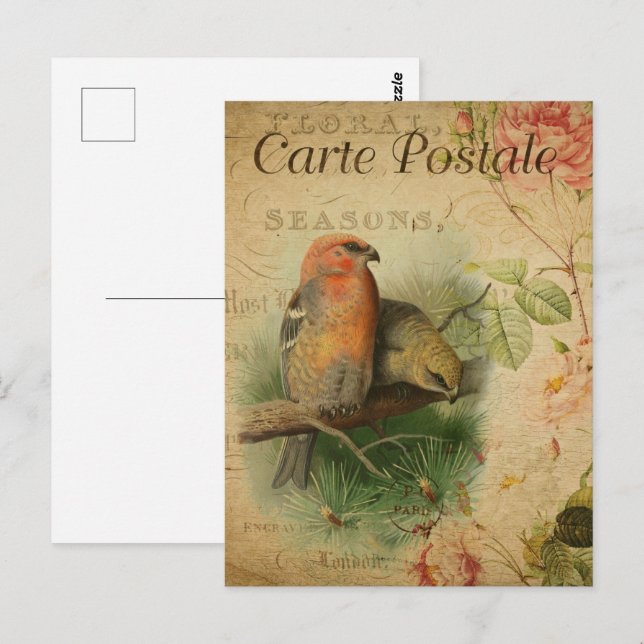 Vintage Pair of Birds Vykort (Fram/baksida)