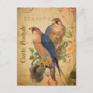 Vintage Pair Pair Peregrine Falcons Birds Fransk Vykort