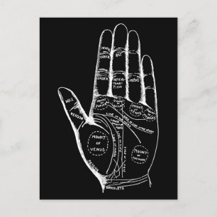Vintage Palmistry Chart Handflatan Reading Vykort