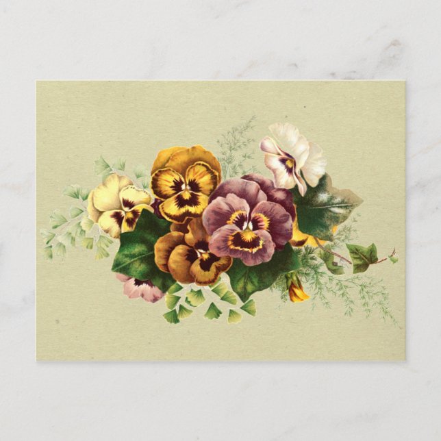 Vintage Pansies Bouquet Vykort (Framsida)