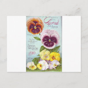 Vintage Pansies Vykort
