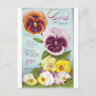 Vintage Pansies Vykort