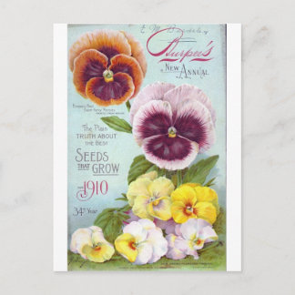 Vintage Pansies Vykort