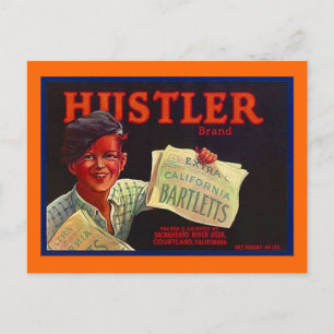 Vintage Paperboy Hustler CA Fruit Låda Postkort Vykort