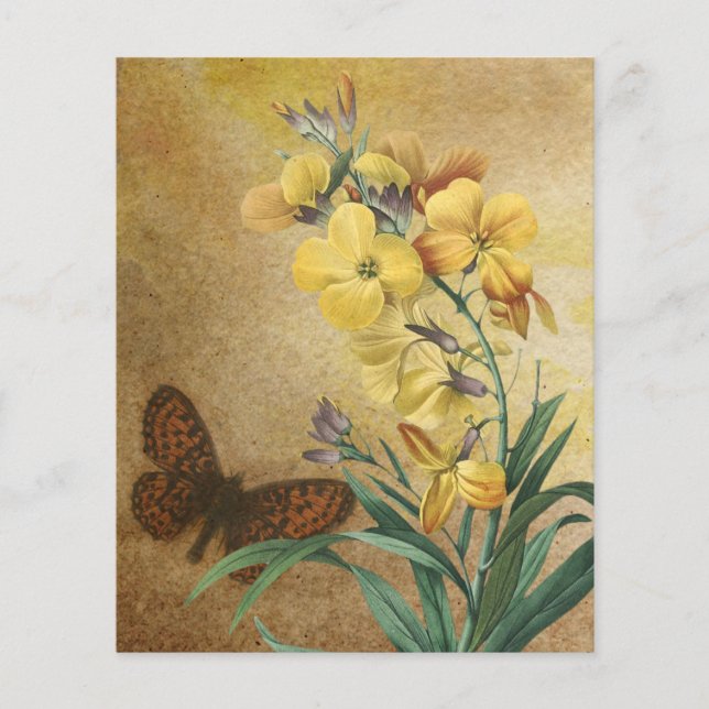 Vintage Papper botaniskt skrapbok (Framsida)