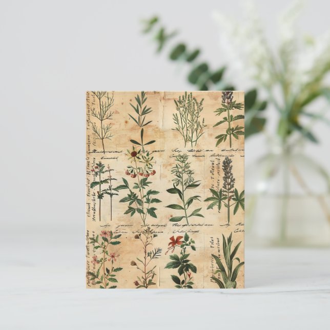 Vintage Papper för botaniska växtbaserade skrapor (Stående Fram)