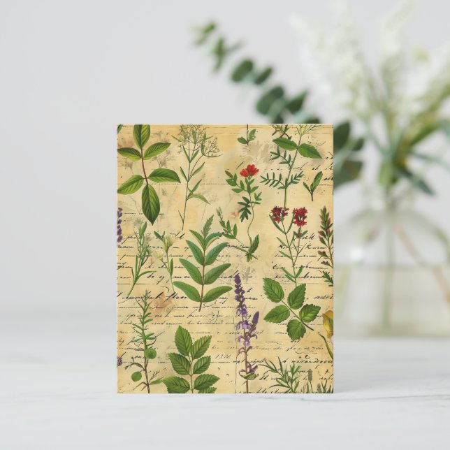 Vintage Papper för botaniska växtbaserade skrapor (Stående Fram)