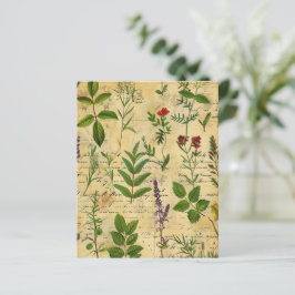 Vintage Papper för botaniska växtbaserade skrapor