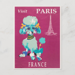 Vintage Paris Frankrike Fransk Pudel Vykort