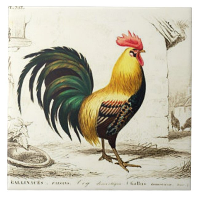 Vintage Paris tupp hemdekokerpanel Kakelplatta (Framsidan)