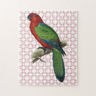 Vintage Parrot Bird on Retro Art Pussel