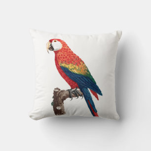 Vintage Parrot - Fågelbild Kudde