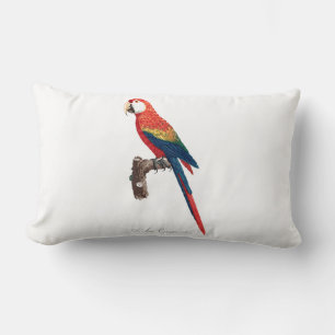 Vintage Parrot - Fågelbild Lumbarkudde
