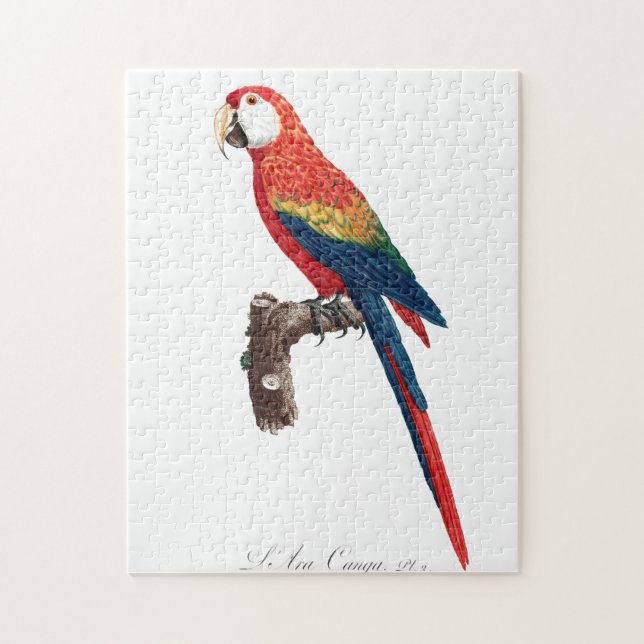 Vintage Parrot - Fågelbild Pussel (Vertikal)
