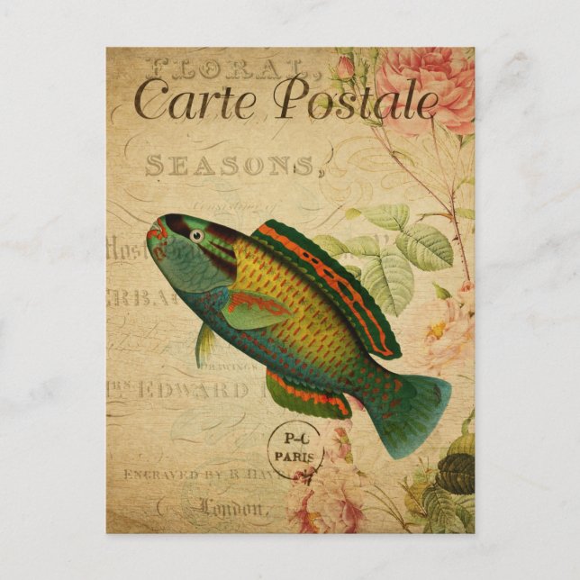 Vintage Parrotfish Blommigt Fransk Vykort (Framsida)