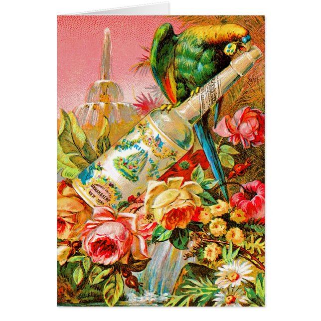 Vintage Parrott Hälsningskort (Framsidan)