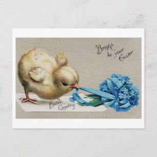 Vintage Påsk Chick Bouquet Vykort